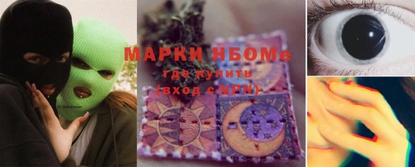 индика Лагань