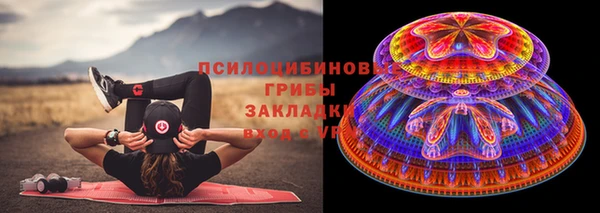 гидра Кукмор