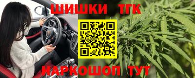 дживик Кингисепп