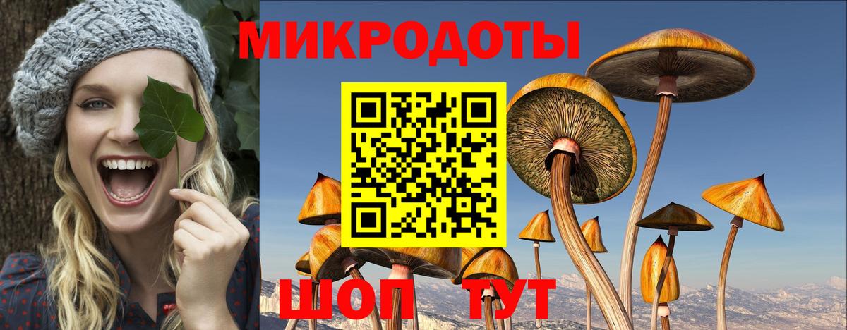 Псилоцибиновые грибы ЛСД  Вход с VPN  Михайловка  Псилоцибиновые грибы мицелий 