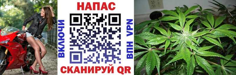 Марихуана ГИДРОПОН где продают Михайловка